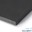 Płyta elewacyjna włókno-cementowa Cembrit Transparent kolor - T111